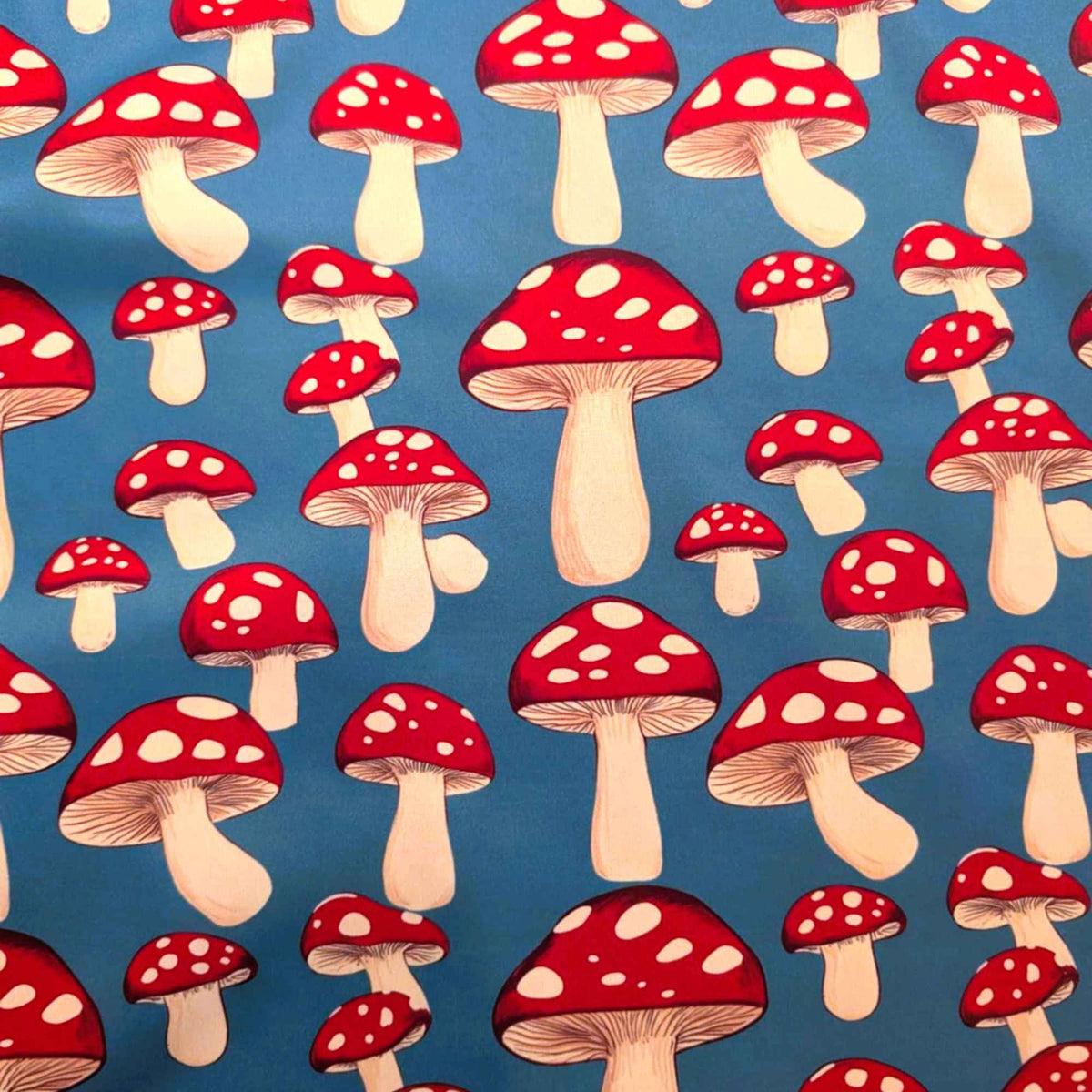 Red toadstool mushroom print food safe waterproof PUL fabric on blue background with white spotted mushrooms.