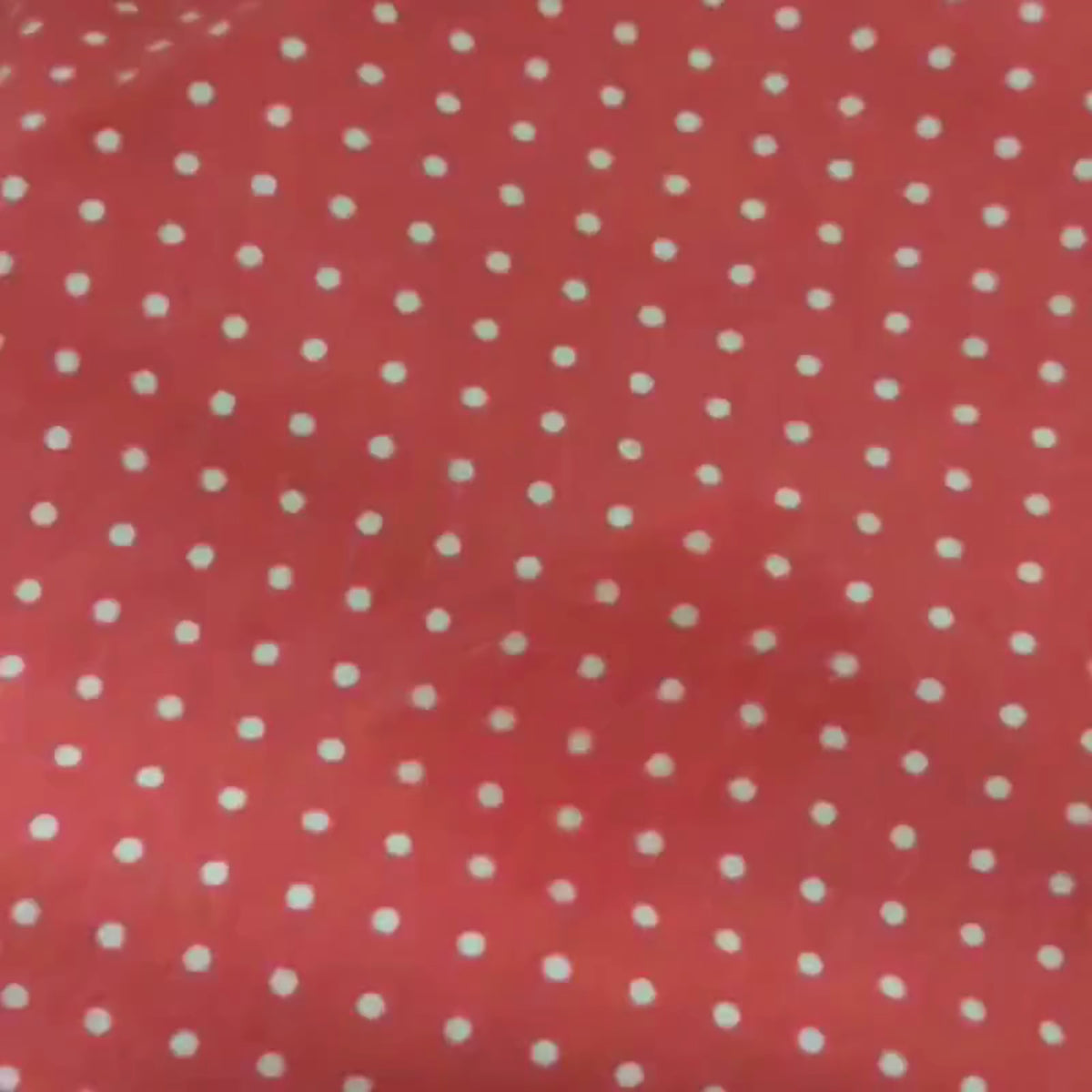 Video of Red pink Swiss dot cotton flannel fabric with white polka dots by Robert Kaufman, soft 2-ply cozy flannel