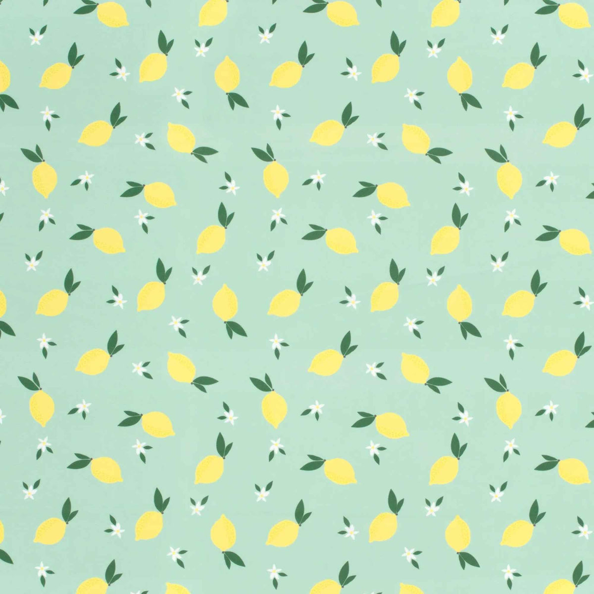 Swimwear Jersey UPF50 Recycled Fabric – Lemon Mint | Digital Print