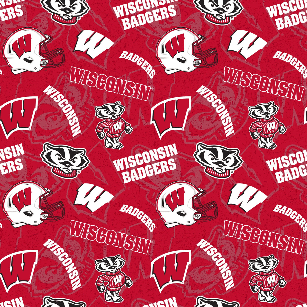 University of Wisconsin Badgers