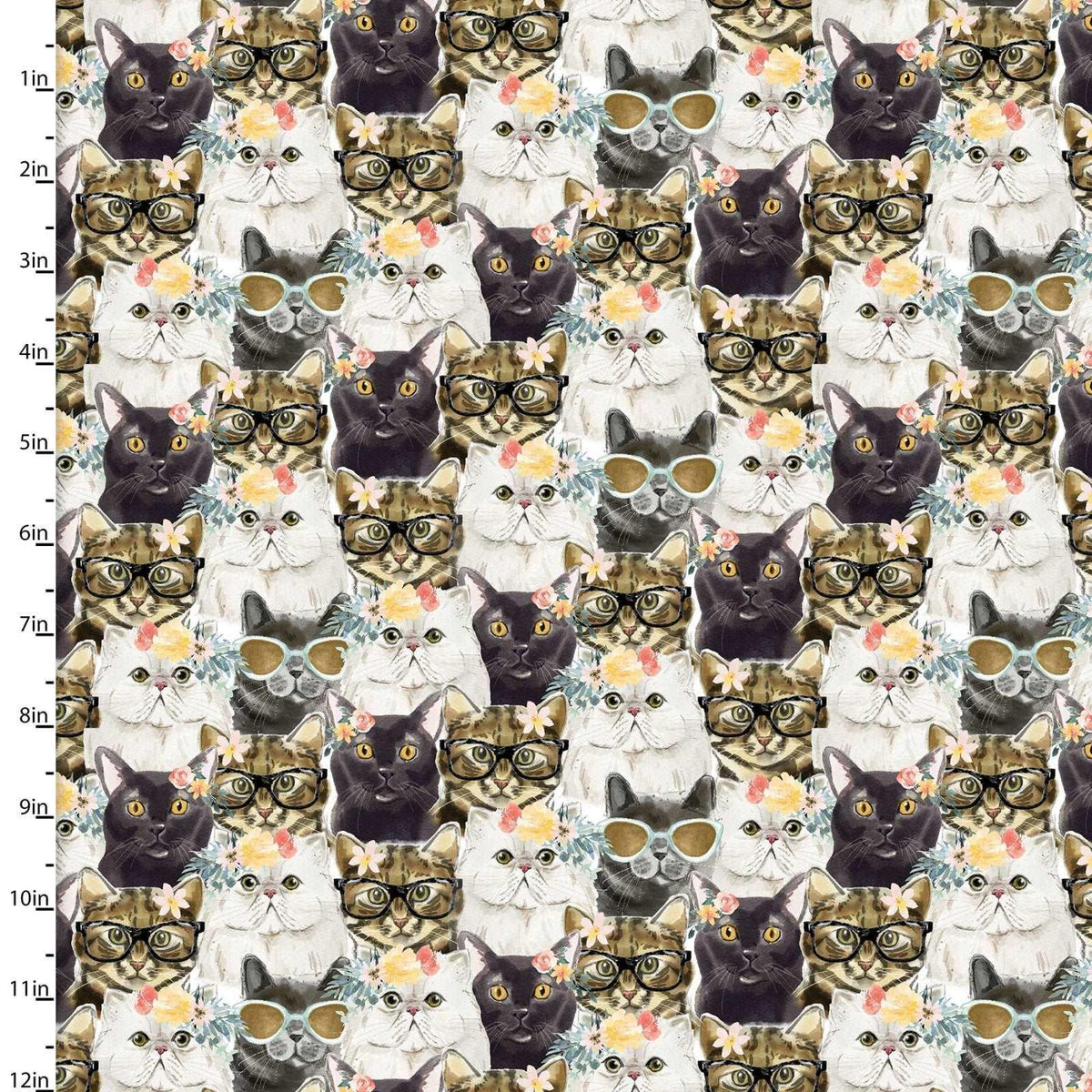 Cat Fabric, Everyday is Caturday Collection