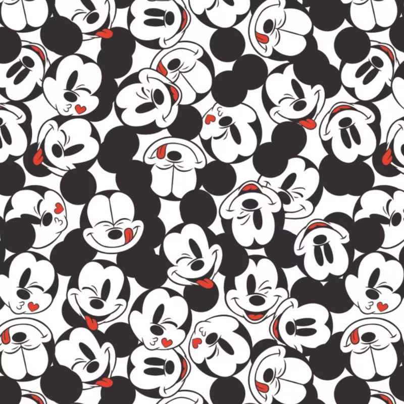 Disney Mickey and Minnie Mouse 3 Yard Bundle