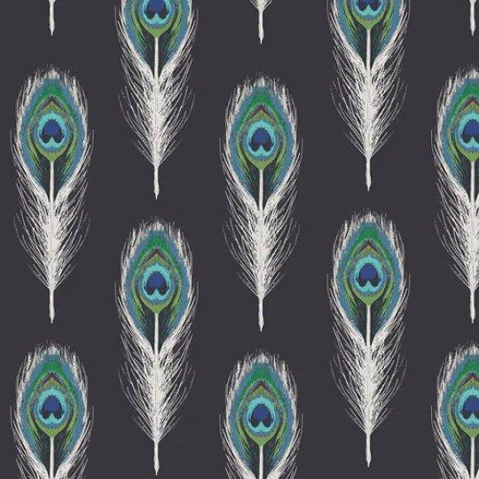 Peacock Feathers on Black Cotton | Fabric Design Treasures