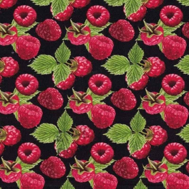 Raspberry Fabric, Fruit Fabric, Food Fabric,, Cotton Fabric | Fabric Design Treasures